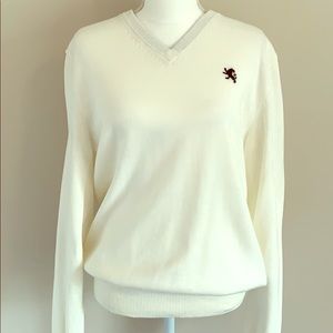 EXPRESS BRAND NEW Men’s V Neck Large Sweater